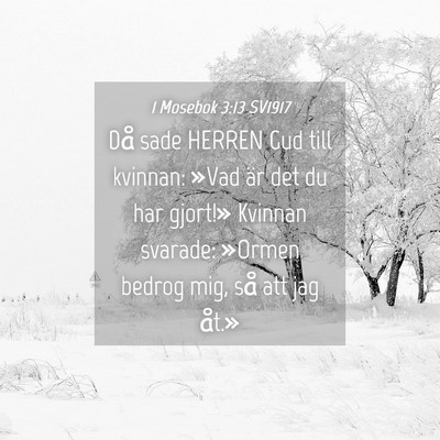 Picture 04 - 1 Mosebok 3:13 SV1917 - Då sade HERREN Gud till kvinnan: »Vad är det - Bible Verse Picture