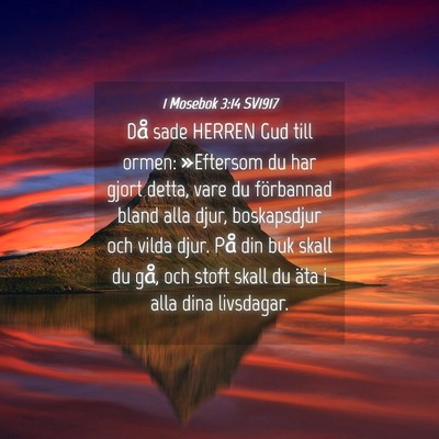 Picture 04 - 1 Mosebok 3:14 SV1917 - Då sade HERREN Gud till ormen: »Eftersom du har - Bible Verse Picture