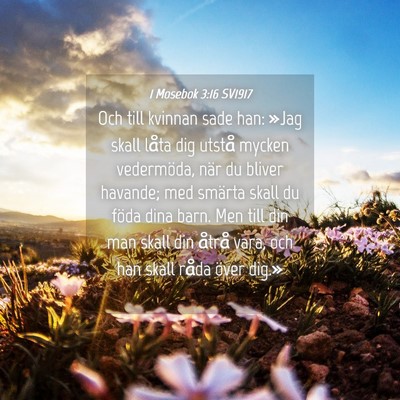 Picture 04 - 1 Mosebok 3:16 SV1917 - Och till kvinnan sade han: »Jag skall låta dig - Bible Verse Picture