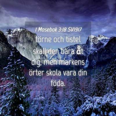 Picture 04 - 1 Mosebok 3:18 SV1917 - törne och tistel skall den bära åt dig, men - Bible Verse Picture