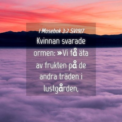 Picture 04 - 1 Mosebok 3:2 SV1917 - Kvinnan svarade ormen: »Vi få äta av frukten - Bible Verse Picture