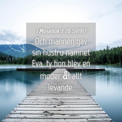 Picture 04 - 1 Mosebok 3:20 SV1917 - Och mannen gav sin hustru namnet Eva, ty hon blev - Bible Verse Picture