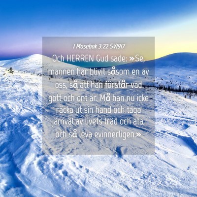 Picture 04 - 1 Mosebok 3:22 SV1917 - Och HERREN Gud sade: »Se, mannen har blivit - Bible Verse Picture