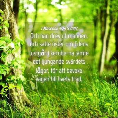 Picture 04 - 1 Mosebok 3:24 SV1917 - Och han drev ut mannen, och satte öster om Edens - Bible Verse Picture