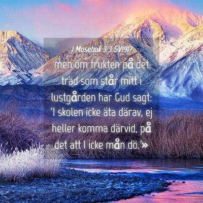Picture 04 - 1 Mosebok 3:3 SV1917 - men om frukten på det träd som står mitt i - Bible Verse Picture