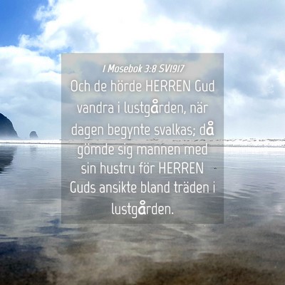 Picture 04 - 1 Mosebok 3:8 SV1917 - Och de hörde HERREN Gud vandra i lustgården, - Bible Verse Picture