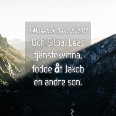 Picture 04 - 1 Mosebok 30:12 SV1917 - Och Silpa, Leas tjänstekvinna, födde åt Jakob - Bible Verse Picture