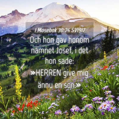 Picture 04 - 1 Mosebok 30:24 SV1917 - Och hon gav honom namnet Josef, i det hon sade: - Bible Verse Picture