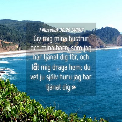 Picture 04 - 1 Mosebok 30:26 SV1917 - Giv mig mina hustrur och mina barn, som jag har - Bible Verse Picture