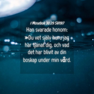 Picture 04 - 1 Mosebok 30:29 SV1917 - Han svarade honom: »Du vet själv huru jag har - Bible Verse Picture