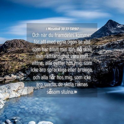 Picture 04 - 1 Mosebok 30:33 SV1917 - Och när du framdeles kommer för att med egna - Bible Verse Picture
