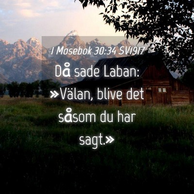 Picture 04 - 1 Mosebok 30:34 SV1917 - Då sade Laban: »Välan, blive det såsom du har - Bible Verse Picture