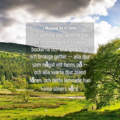 Picture 04 - 1 Mosebok 30:35 SV1917 - Och samma dag avskilde han de strimmiga och - Bible Verse Picture