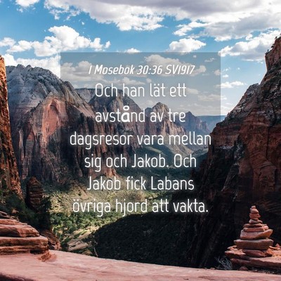 Picture 04 - 1 Mosebok 30:36 SV1917 - Och han lät ett avstånd av tre dagsresor vara - Bible Verse Picture