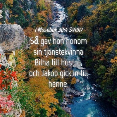 Picture 04 - 1 Mosebok 30:4 SV1917 - Så gav hon honom sin tjänstekvinna Bilha till - Bible Verse Picture