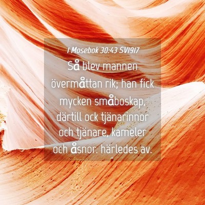 Picture 04 - 1 Mosebok 30:43 SV1917 - Så blev mannen övermåttan rik; han fick mycken - Bible Verse Picture
