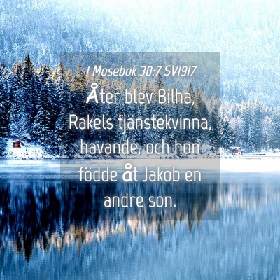 Picture 04 - 1 Mosebok 30:7 SV1917 - Åter blev Bilha, Rakels tjänstekvinna, havande, - Bible Verse Picture