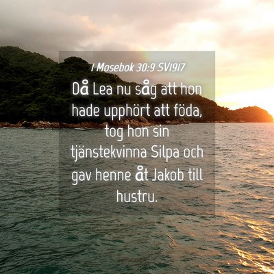 Picture 04 - 1 Mosebok 30:9 SV1917 - Då Lea nu såg att hon hade upphört att föda, - Bible Verse Picture