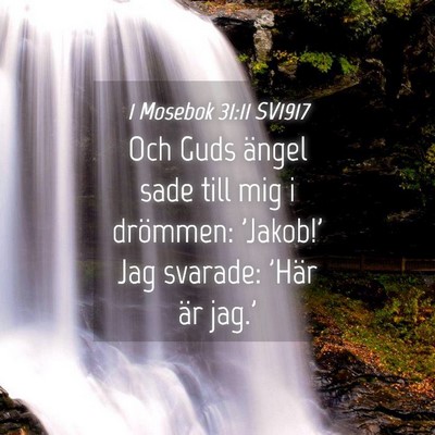 Picture 04 - 1 Mosebok 31:11 SV1917 - Och Guds ängel sade till mig i drömmen: - Bible Verse Picture