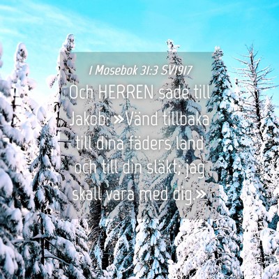 Picture 04 - 1 Mosebok 31:3 SV1917 - Och HERREN sade till Jakob: »Vänd tillbaka till - Bible Verse Picture