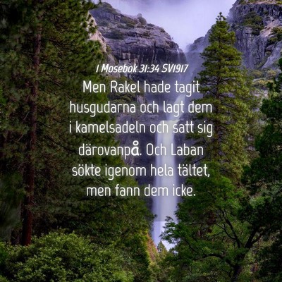 Picture 04 - 1 Mosebok 31:34 SV1917 - Men Rakel hade tagit husgudarna och lagt dem i - Bible Verse Picture