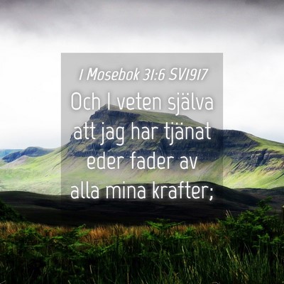 Picture 04 - 1 Mosebok 31:6 SV1917 - Och I veten själva att jag har tjänat eder - Bible Verse Picture