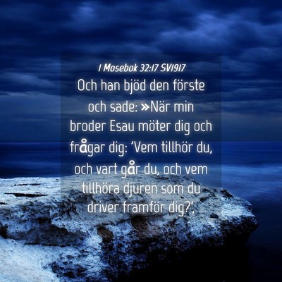 Picture 04 - 1 Mosebok 32:17 SV1917 - Och han bjöd den förste och sade: »När min - Bible Verse Picture