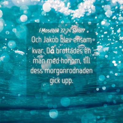 Picture 04 - 1 Mosebok 32:24 SV1917 - Och Jakob blev ensam kvar. Då brottades en man - Bible Verse Picture