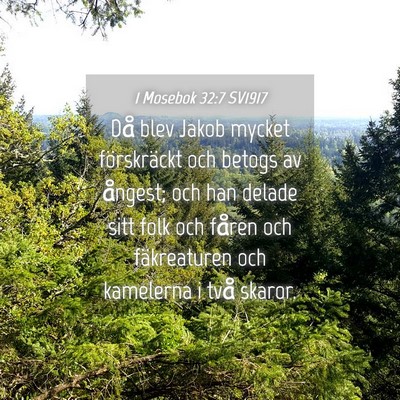 Picture 04 - 1 Mosebok 32:7 SV1917 - Då blev Jakob mycket förskräckt och betogs av - Bible Verse Picture