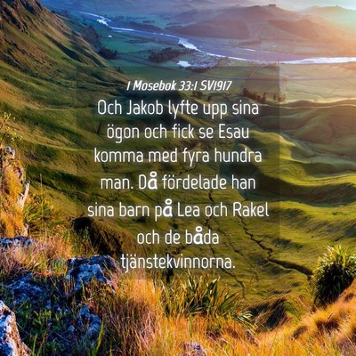 Picture 04 - 1 Mosebok 33:1 SV1917 - Och Jakob lyfte upp sina ögon och fick se Esau - Bible Verse Picture