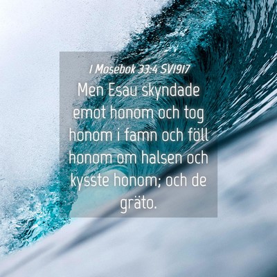 Picture 04 - 1 Mosebok 33:4 SV1917 - Men Esau skyndade emot honom och tog honom i famn - Bible Verse Picture