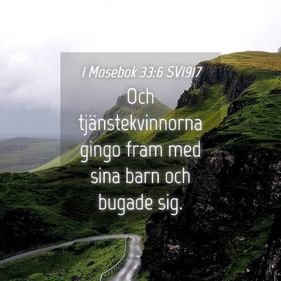 Picture 04 - 1 Mosebok 33:6 SV1917 - Och tjänstekvinnorna gingo fram med sina barn - Bible Verse Picture