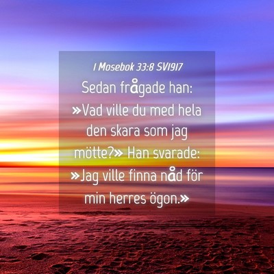 Picture 04 - 1 Mosebok 33:8 SV1917 - Sedan frågade han: »Vad ville du med hela den - Bible Verse Picture