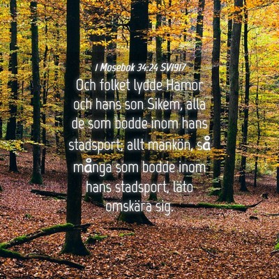 Picture 04 - 1 Mosebok 34:24 SV1917 - Och folket lydde Hamor och hans son Sikem, alla - Bible Verse Picture