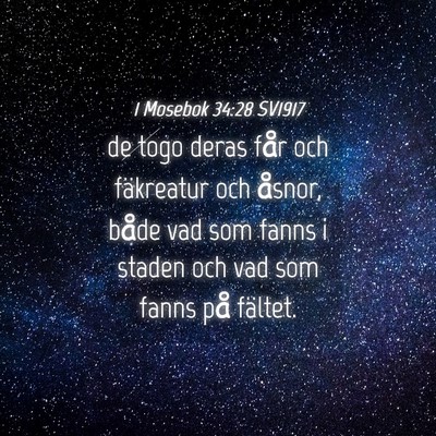 Picture 04 - 1 Mosebok 34:28 SV1917 - de togo deras får och fäkreatur och åsnor, - Bible Verse Picture