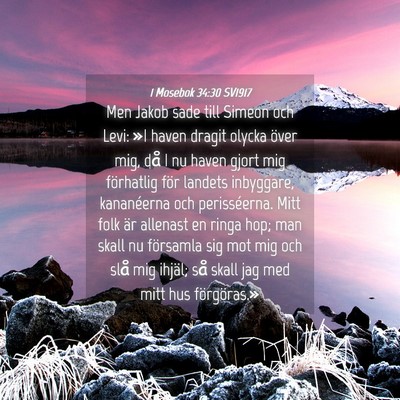 Picture 04 - 1 Mosebok 34:30 SV1917 - Men Jakob sade till Simeon och Levi: »I haven - Bible Verse Picture
