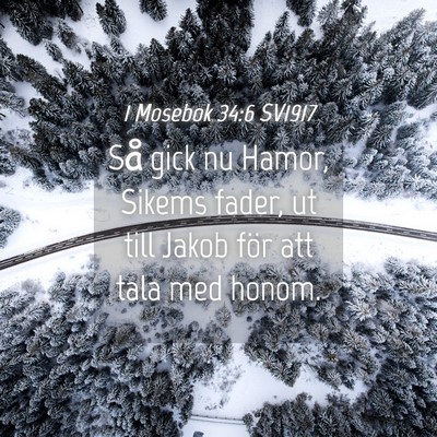 Picture 04 - 1 Mosebok 34:6 SV1917 - Så gick nu Hamor, Sikems fader, ut till Jakob - Bible Verse Picture