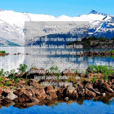 Picture 04 - 1 Mosebok 34:7 SV1917 - Men när Jakobs söner kommo hem från marken, - Bible Verse Picture