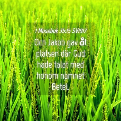 Picture 04 - 1 Mosebok 35:15 SV1917 - Och Jakob gav åt platsen där Gud hade talat med - Bible Verse Picture