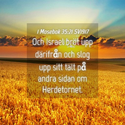 Picture 04 - 1 Mosebok 35:21 SV1917 - Och Israel bröt upp därifrån och slog upp sitt - Bible Verse Picture