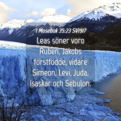 Picture 04 - 1 Mosebok 35:23 SV1917 - Leas söner voro Ruben, Jakobs förstfödde, - Bible Verse Picture