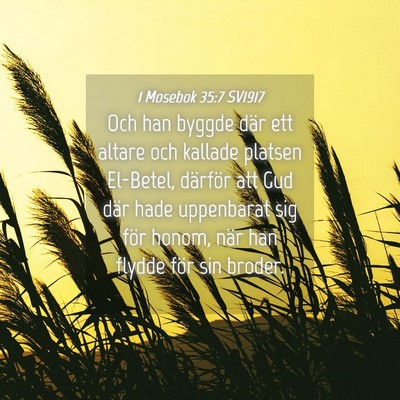 Picture 04 - 1 Mosebok 35:7 SV1917 - Och han byggde där ett altare och kallade - Bible Verse Picture