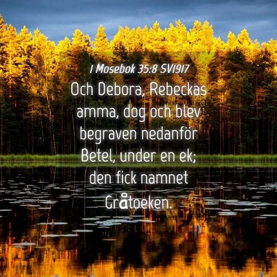 Picture 04 - 1 Mosebok 35:8 SV1917 - Och Debora, Rebeckas amma, dog och blev begraven - Bible Verse Picture