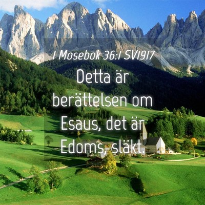 Picture 04 - 1 Mosebok 36:1 SV1917 - Detta är berättelsen om Esaus, det är Edoms, - Bible Verse Picture