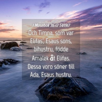 Picture 04 - 1 Mosebok 36:12 SV1917 - Och Timna, som var Elifas', Esaus sons, bihustru, - Bible Verse Picture
