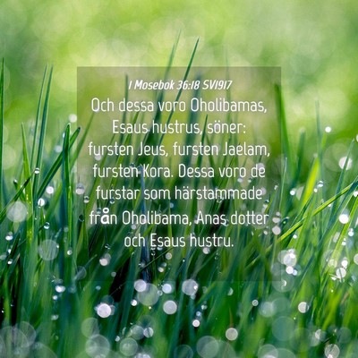 Picture 04 - 1 Mosebok 36:18 SV1917 - Och dessa voro Oholibamas, Esaus hustrus, söner: - Bible Verse Picture