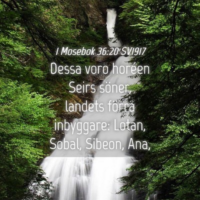 Picture 04 - 1 Mosebok 36:20 SV1917 - Dessa voro horéen Seirs söner, landets förra - Bible Verse Picture
