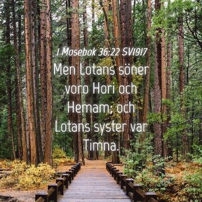 Picture 04 - 1 Mosebok 36:22 SV1917 - Men Lotans söner voro Hori och Hemam; och Lotans - Bible Verse Picture