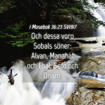 Picture 04 - 1 Mosebok 36:23 SV1917 - Och dessa voro Sobals söner: Alvan, Manahat och - Bible Verse Picture