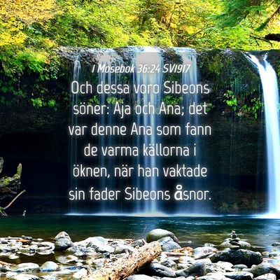 Picture 04 - 1 Mosebok 36:24 SV1917 - Och dessa voro Sibeons söner: Aja och Ana; det - Bible Verse Picture